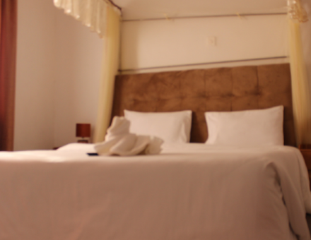 Executive Rooms